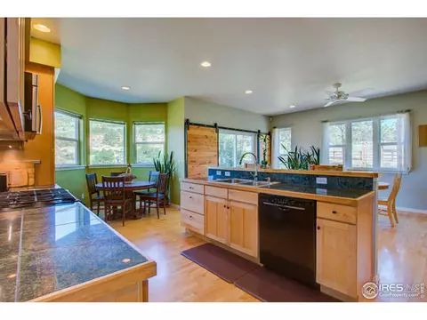 445 Vasquez Ct, Lyons, CO 80540 photo 11