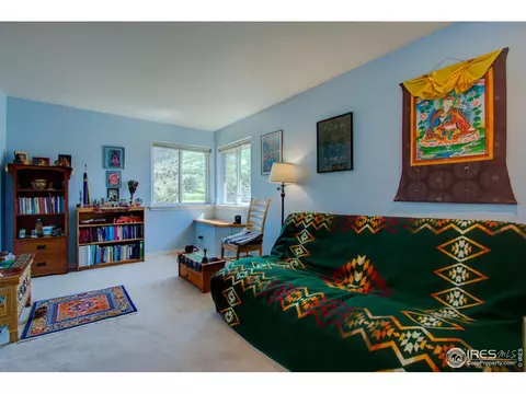445 Vasquez Ct, Lyons, CO 80540 photo 22