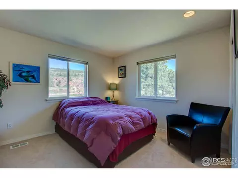 445 Vasquez Ct, Lyons, CO 80540 photo 21