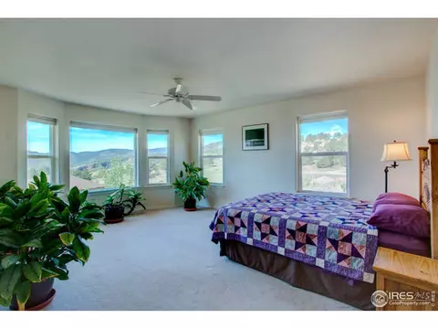 445 Vasquez Ct, Lyons, CO 80540 photo 17