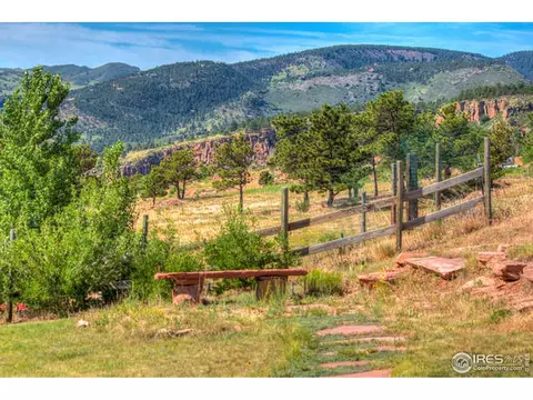445 Vasquez Ct, Lyons, CO 80540 photo 38