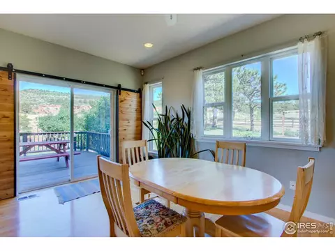 445 Vasquez Ct, Lyons, CO 80540 photo 14