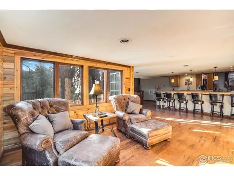61 Fox Creek Rd, Glen Haven, CO 80532 photo 15