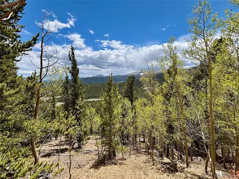 1171 Co Rd 787, Alma, CO 80420