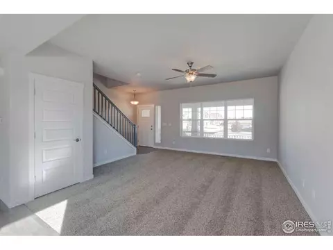 1174 Bowen Pass St, Windsor, CO 80550 photo 13