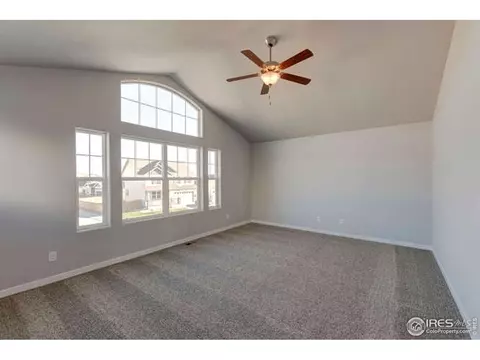 1174 Bowen Pass St, Windsor, CO 80550 photo 6