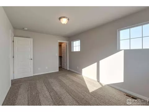 1174 Bowen Pass St, Windsor, CO 80550 photo 4