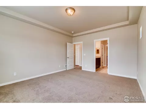 1167 Bowen Pass St, Windsor, CO 80550 photo 15