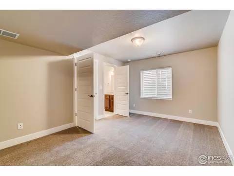 1167 Bowen Pass St, Windsor, CO 80550 photo 33