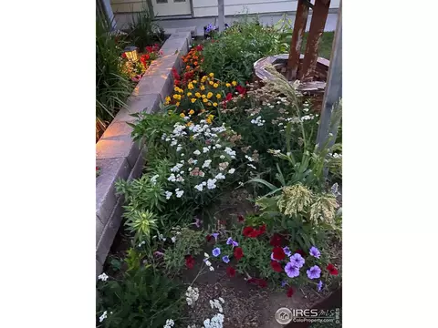2422 Hawk Dr, Evans, CO 80620 photo 40