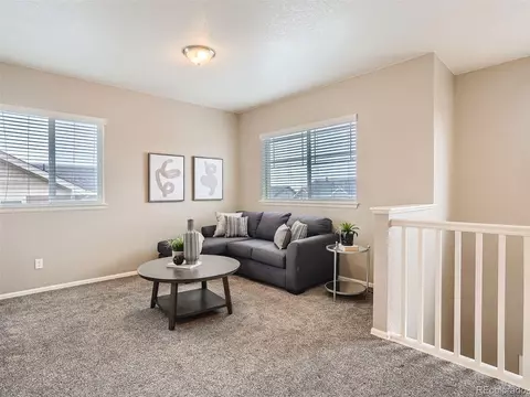 8011 E 138 Pl, Thornton, CO 80602 photo 24