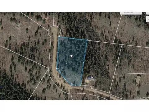 107 Starling Way, Como, CO 80432 photo 10