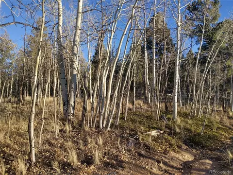 107 Starling Way, Como, CO 80432 photo 1