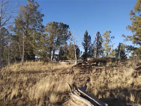 107 Starling Way, Como, CO 80432 photo 9