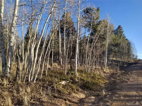 107 Starling Way, Como, CO 80432 photo 2