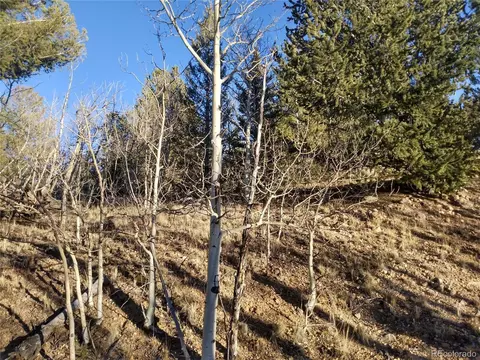 107 Starling Way, Como, CO 80432 photo 3