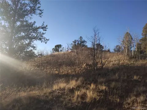 107 Starling Way, Como, CO 80432 photo 5