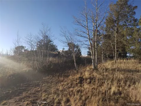 107 Starling Way, Como, CO 80432 photo 8