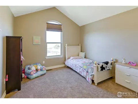 6920 Saint St, Frederick, CO 80530 photo 21