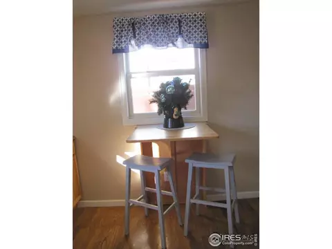 421 1st St, Hugo, CO 80821 photo 9