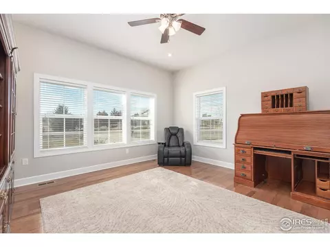 4780 Shavano Dr, Windsor, CO 80550 photo 26