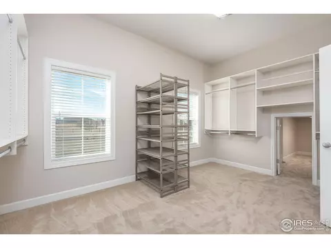 4780 Shavano Dr, Windsor, CO 80550 photo 25