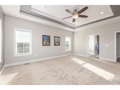 4780 Shavano Dr, Windsor, CO 80550 photo 20