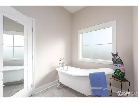 4780 Shavano Dr, Windsor, CO 80550 photo 23