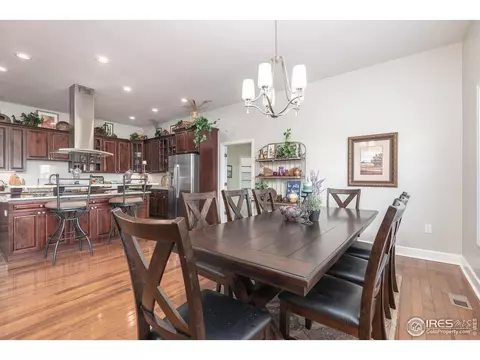 4780 Shavano Dr, Windsor, CO 80550 photo 12