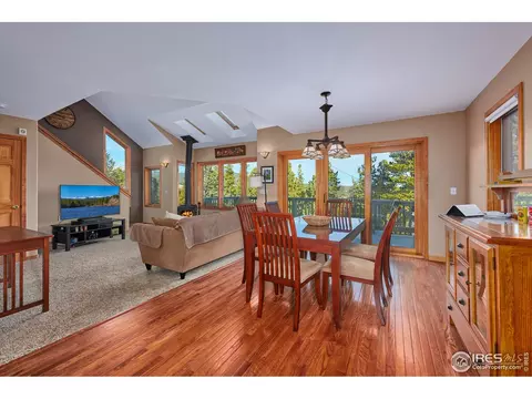 470 Pine Cone Cir, Ward, CO 80481 photo 10