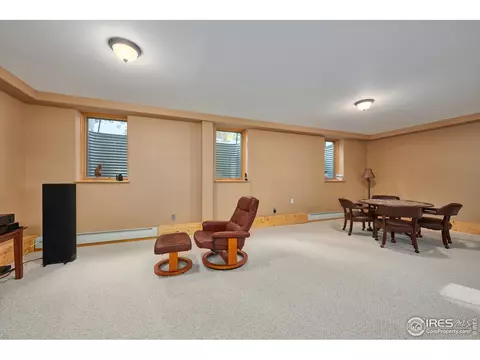 470 Pine Cone Cir, Ward, CO 80481 photo 24