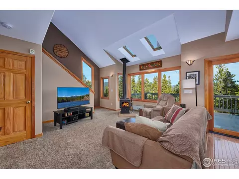 470 Pine Cone Cir, Ward, CO 80481 photo 9