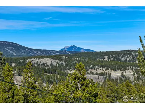 470 Pine Cone Cir, Ward, CO 80481 photo 28