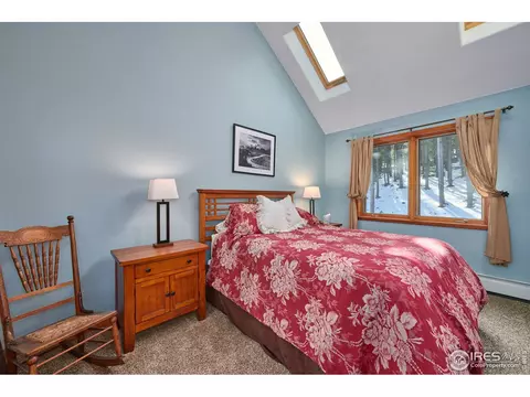 470 Pine Cone Cir, Ward, CO 80481 photo 19