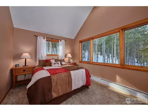 470 Pine Cone Cir, Ward, CO 80481 photo 22