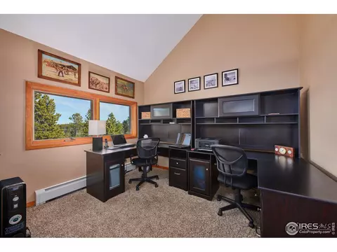 470 Pine Cone Cir, Ward, CO 80481 photo 20