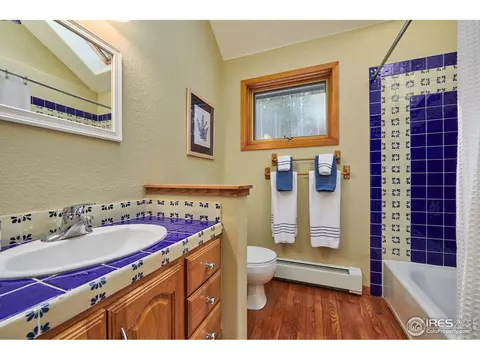 470 Pine Cone Cir, Ward, CO 80481 photo 21