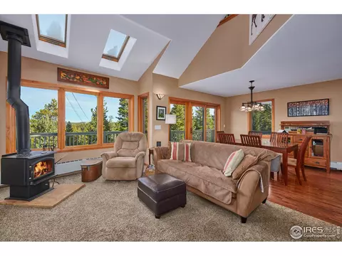 470 Pine Cone Cir, Ward, CO 80481 photo 7