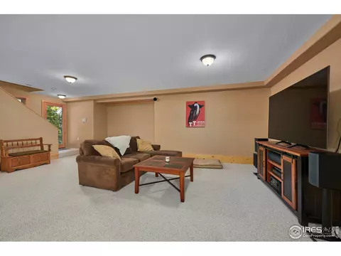 470 Pine Cone Cir, Ward, CO 80481 photo 23