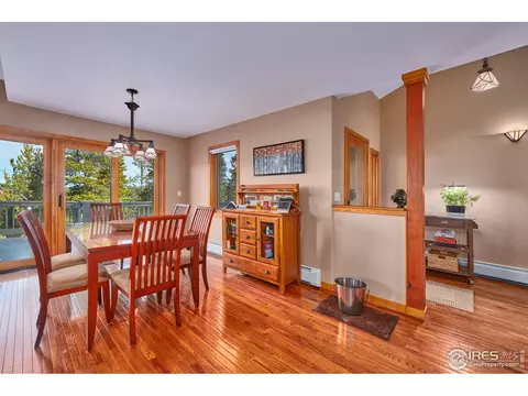 470 Pine Cone Cir, Ward, CO 80481 photo 11