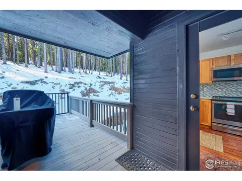 470 Pine Cone Cir, Ward, CO 80481 photo 26
