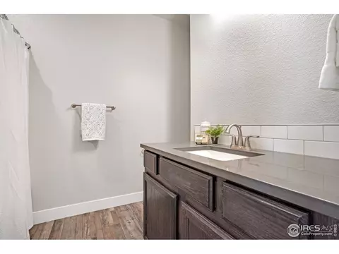 451 Deerfield Dr, Windsor, CO 80550 photo 19