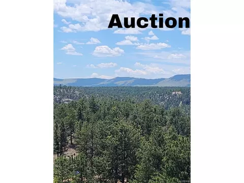 33 Terrace Ln, Florissant, CO 80816