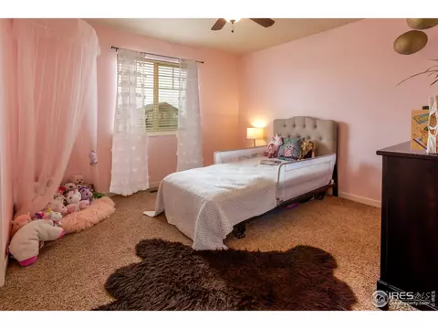 4409 Dante St, Evans, CO 80620 photo 30