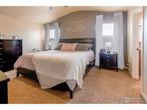 4409 Dante St, Evans, CO 80620 photo 29