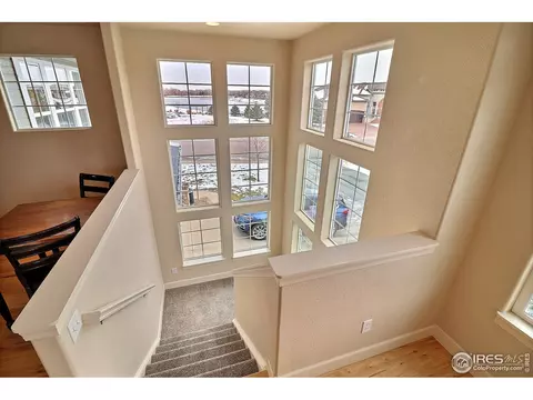 1820 E Seadrift Dr #7-C, Windsor, CO 80550 photo 5