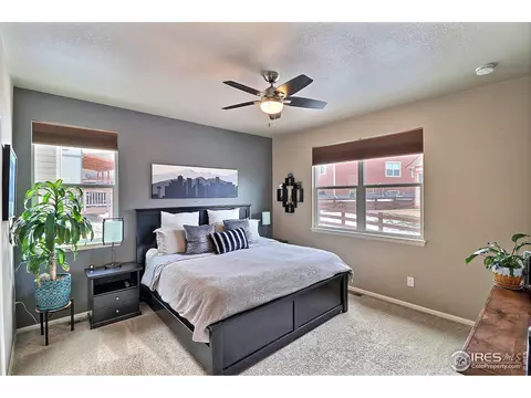 2268 Stonefish Dr, Windsor, CO 80550 photo 19