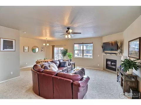 2268 Stonefish Dr, Windsor, CO 80550 photo 5