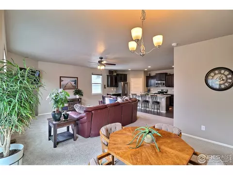 2268 Stonefish Dr, Windsor, CO 80550 photo 7