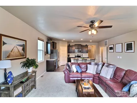 2268 Stonefish Dr, Windsor, CO 80550 photo 4
